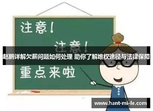 赵鹏详解欠薪问题如何处理 助你了解维权途径与法律保障